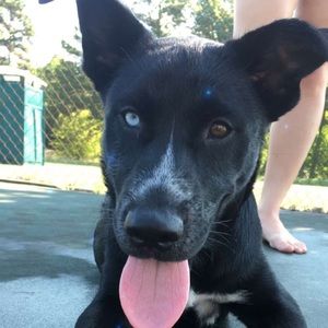 Meet your Posher, Taylor